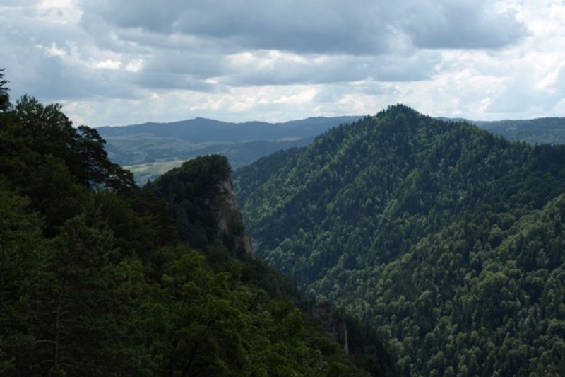 Sokolica , Holica z Czerteża - Pieniny